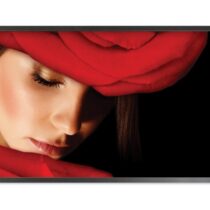 Totevision: LED-4201HDMT